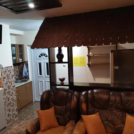 Artic * Τζαχορίνα