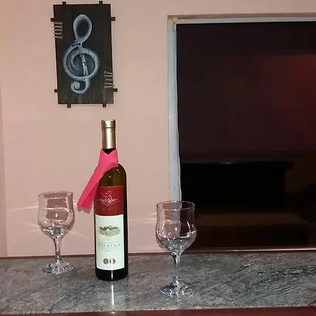 Artic * Τζαχορίνα