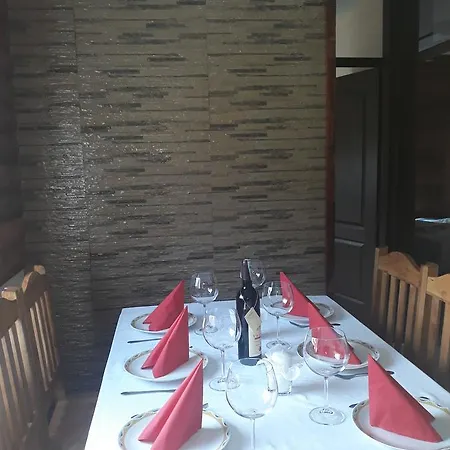 Artic Τζαχορίνα