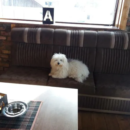 Artic Τζαχορίνα