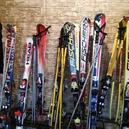 Artic * Τζαχορίνα